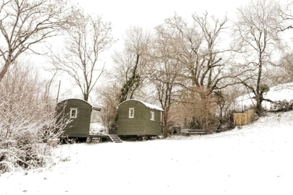 Penn Bergeyn Shepherd'S Huts إكزيتر المظهر الخارجي الصورة