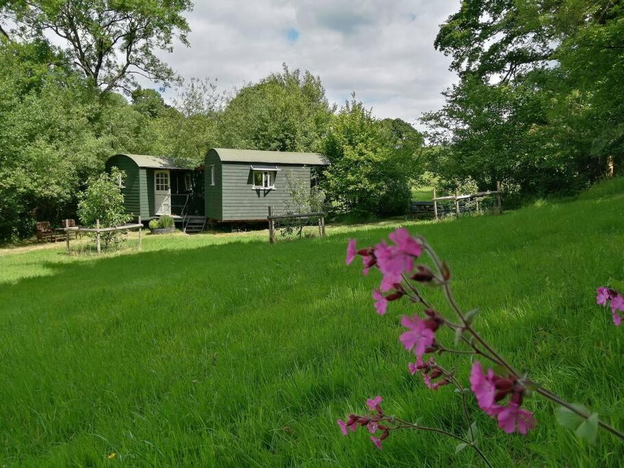 Penn Bergeyn Shepherd'S Huts إكزيتر المظهر الخارجي الصورة